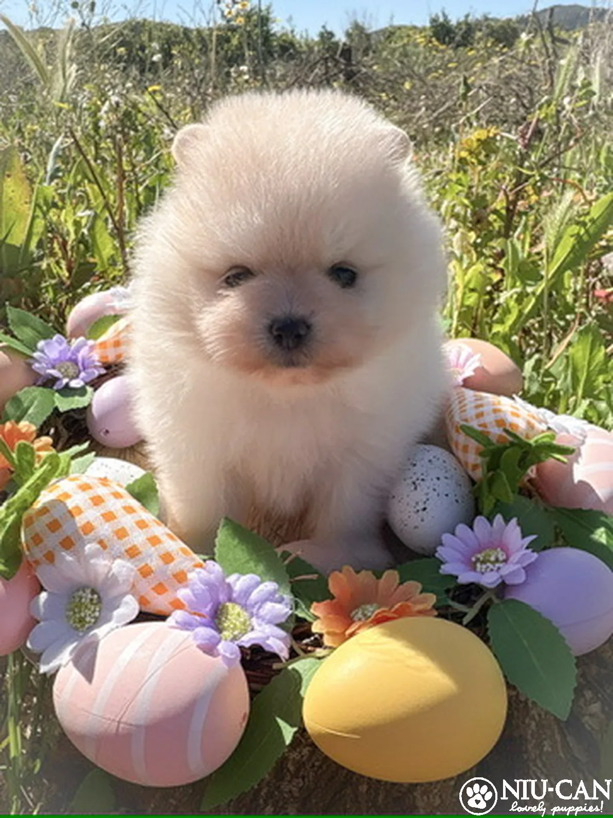 2CC9AA07-6C85-4432-A12D-BE8C984A93BD_4_5005_c_result