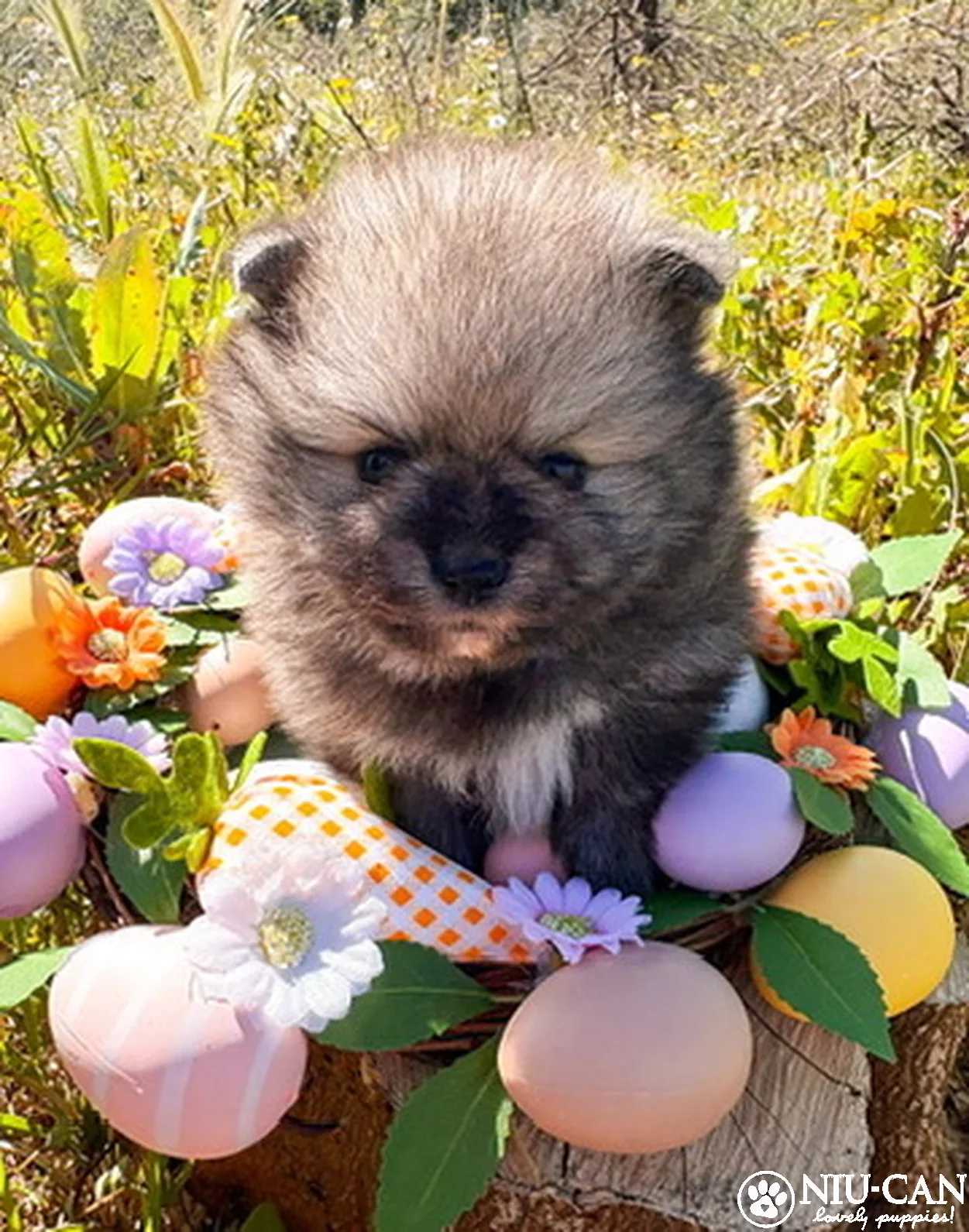 4746808D-30E8-4BBF-92E1-448AF99FE8D2_4_5005_c_result